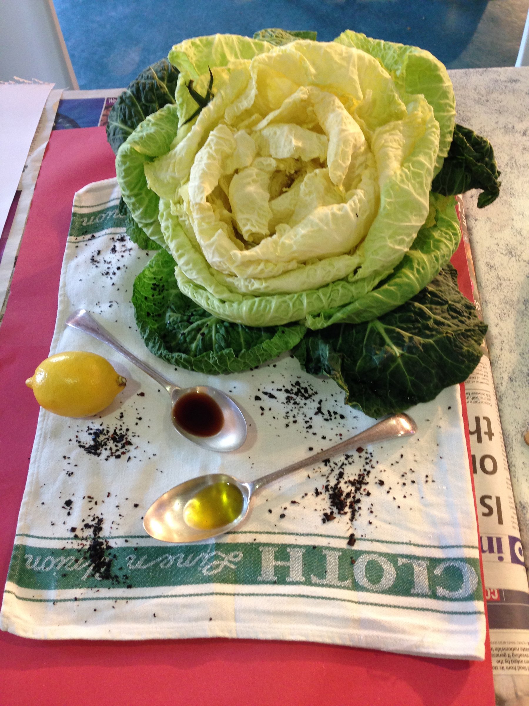 sensory still life
